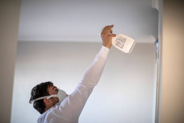 Best Affordable Mold Removal  in Hesperia, CA