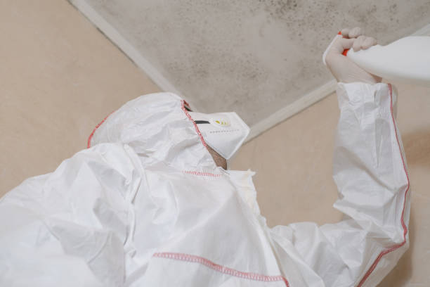 Best Mold Testing and Removal  in Hesperia, CA