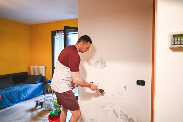 Best Fast Mold Removal  in Hesperia, CA