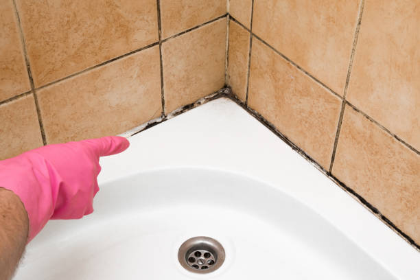 Best Emergency Mold Removal  in Hesperia, CA